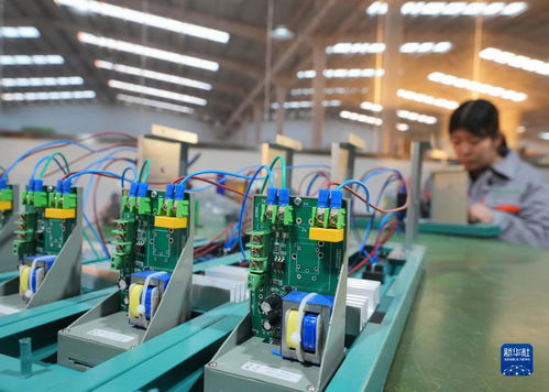 河北黃驊 以技術創新為引擎，推動企業深耕國際市場促發展